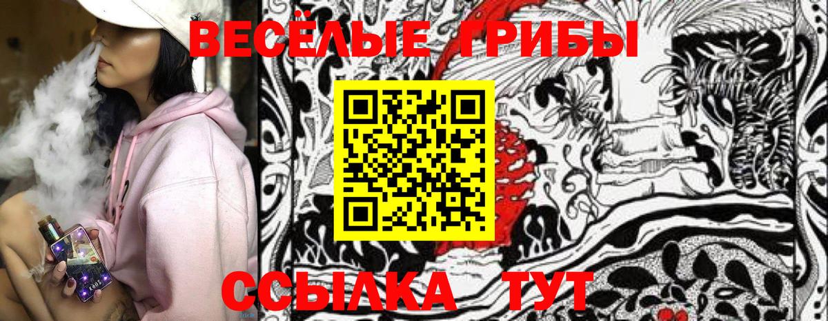 Фурманов  Галлюциногенные грибы прущие грибы  Вход с VPN 